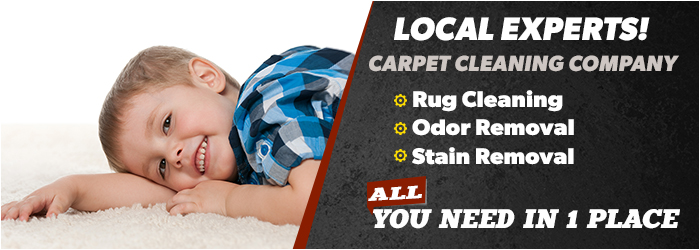 About Carpet Cleaning Company